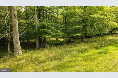 Lot 100 Deep Creek Highlands Road, Mc Henry, MD 21541 - Photo 6