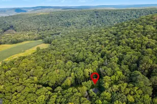 116 Bear Ridge Ct, Friendsville, MD 21531 - Photo 46