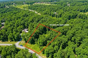 94 Mountaintop Rd, Mc Henry, MD 21541 - Photo 1