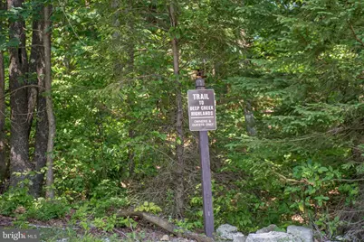 94 Mountaintop Road, Mc Henry, MD 21541 - Photo 22