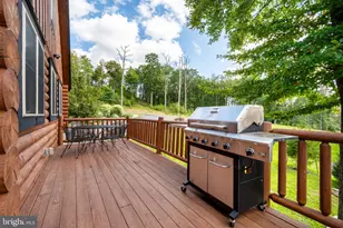 870 N Camp Rd, Mc Henry, MD 21541 - Photo 62