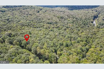Yough View Drive, Oakland, MD 21550 - Photo 10