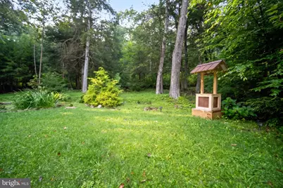 322 Hemlock Road, Grantsville, MD 21536 - Photo 66