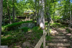 2849 Shingle Camp Rd, Oakland, MD 21550 - Photo 2