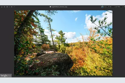 Cedar Lane #LOT 66, Oakland, MD 21550 - Photo 6