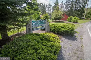 19 Slopeside Terrace, Mc Henry, MD 21541 - Photo 54