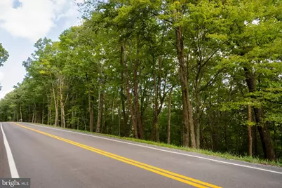 Glendale Road, Swanton, MD 21561 - Photo 12
