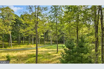 Lot 12 Poland Heights Lane, Swanton, MD 21561 - Photo 6