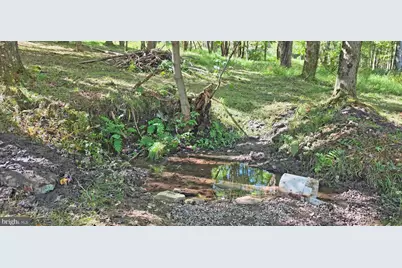Parcel 100,Lot 1 Rabbit Hollow Road, Accident, MD 21520 - Photo 22
