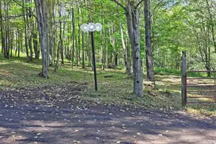 Parcel 100 Lot 1 Rabbit Hollow Rd, Accident, MD 21520 - Photo 1