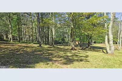 Parcel 100,Lot 1 Rabbit Hollow Road, Accident, MD 21520 - Photo 10