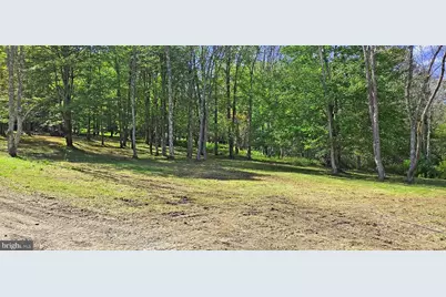 Parcel 100,Lot 1 Rabbit Hollow Road, Accident, MD 21520 - Photo 6