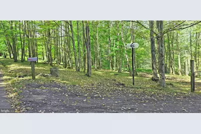 Parcel 100,Lot 1 Rabbit Hollow Road, Accident, MD 21520 - Photo 2