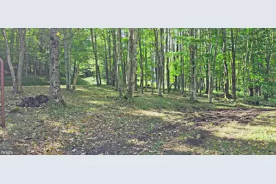 Parcel 100,Lot 1 Rabbit Hollow Road, Accident, MD 21520 - Photo 24
