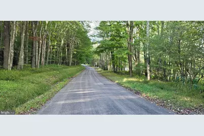 Parcel 101,Lot 2 Rabbit Hollow Road, Accident, MD 21520 - Photo 16