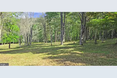 Parcel 101,Lot 2 Rabbit Hollow Road, Accident, MD 21520 - Photo 6