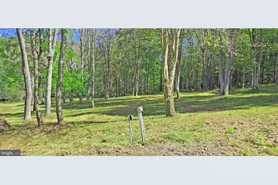 Parcel 101,Lot 2 Rabbit Hollow Road, Accident, MD 21520 - Photo 4