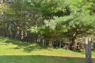 524 Summit Dr, Swanton, MD 21561 - Photo 102
