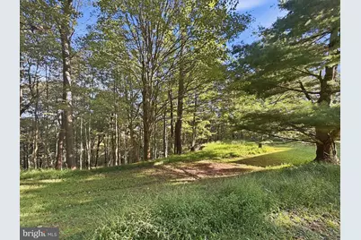 524 Summit Drive, Swanton, MD 21561 - Photo 106