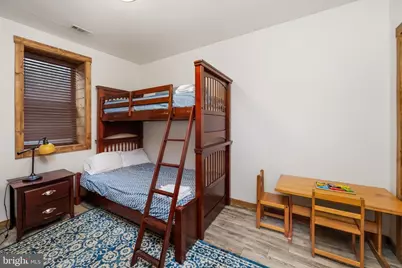 698 N Camp Road, Mc Henry, MD 21541 - Photo 66