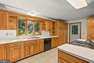 430 State Park Rd, Swanton, MD 21561 - Photo 44