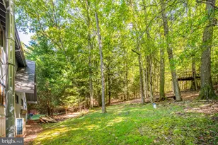 430 State Park Rd, Swanton, MD 21561 - Photo 10