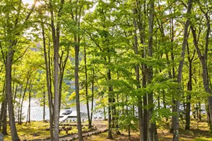 2570 State Park Rd, Swanton, MD 21561 - Photo 54