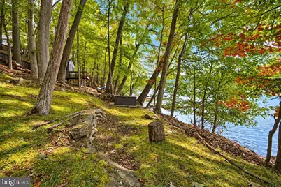 3105 Shingle Camp Road, Mc Henry, MD 21541 - Photo 78
