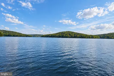 3105 Shingle Camp Road, Mc Henry, MD 21541 - Photo 80