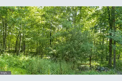 Lot 1 Betts Lane, Oakland, MD 21550 - Photo 8