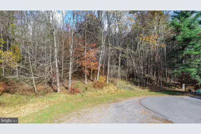 Lot 18 Laurel Court, Oakland, MD 21550 - Photo 8