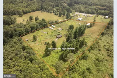 1055 Old Wilson Road, Swanton, MD 21561 - Photo 4