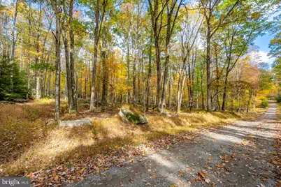 Fawn Drive, Oakland, MD 21550 - Photo 2