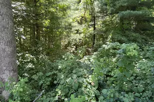 Harford St, Aberdeen, MD 21001 - Photo 1