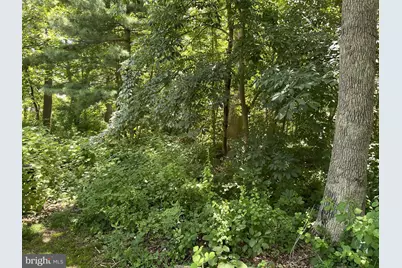 Harford Street, Aberdeen, MD 21001 - Photo 2