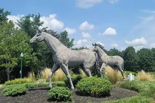 414 Granville Ct, Havre de Grace, MD 21078 - Photo 20