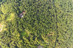 2949 Conowingo Rd, Bel Air, MD 21015 - Photo 10