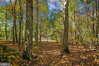 3908 Street Road, Street, MD 21154 - Photo 10