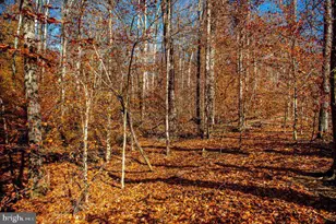 638 Iron Gate Rd, Bel Air, MD 21014 - Photo 42