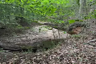 3515 Clayton Rd, Joppa, MD 21085 - Photo 12