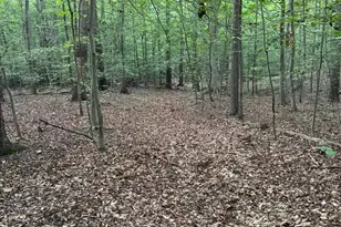 3515 Clayton Rd, Joppa, MD 21085 - Photo 8