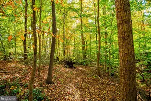 1207 Aldershot Ct, Abingdon, MD 21009 - Photo 42