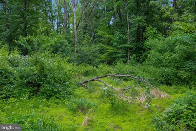 Evan Avenue, Aberdeen, MD 21001 - Photo 56