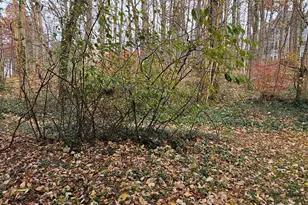 1302 Clover Valley Way, Edgewood, MD 21040 - Photo 24