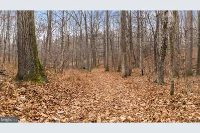 2052 Nelson Mill Road, Jarrettsville, MD 21084 - Photo 10