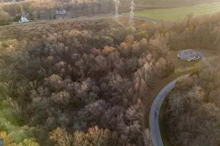 2313 Walnut Spring Ct, White Hall, MD 21161 - Photo 10