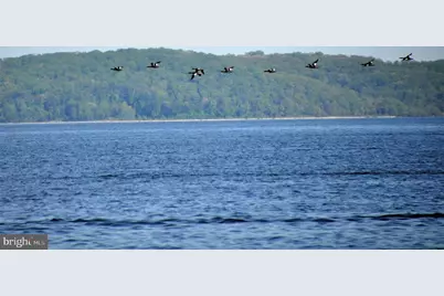 406 Bold Ruler Court #207, Havre de Grace, MD 21078 - Photo 50