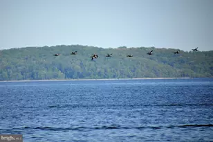 406 Bold Ruler Ct, Havre de Grace, MD 21078 - Photo 50