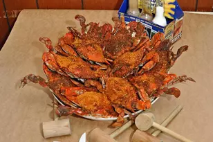 406 Bold Ruler Ct, Havre de Grace, MD 21078 - Photo 48