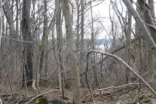 3909 River Rd, Darlington, MD 21034 - Photo 4